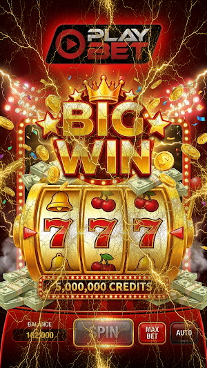 Playbet Screenshot 2