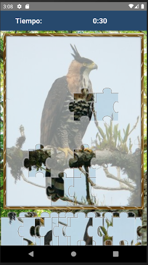Rompecabezas de Pajaros Screenshot 3