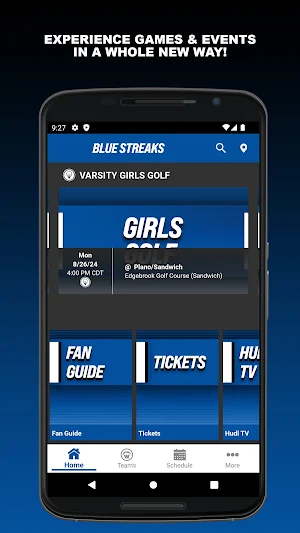 Woodstock Blue Streaks Screenshot 0