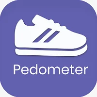 Pedometer Steps Counter