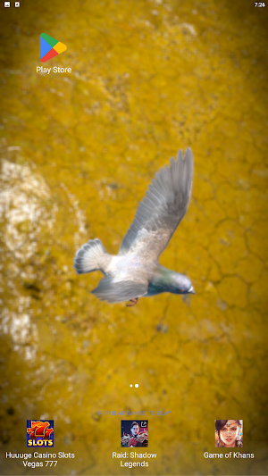 Birds Live Wallpaper Pro Screenshot 2