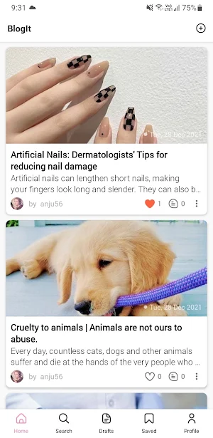 Blogit Screenshot 0