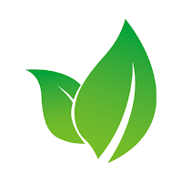 Reimagine Roofing