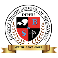Carey's Vision School