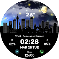 WFP 313 Urban watch face
