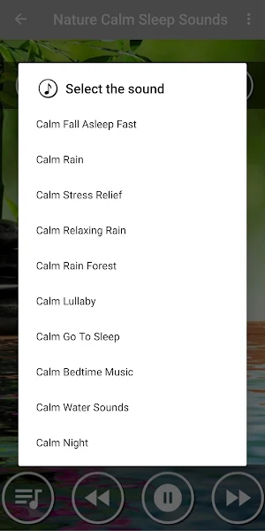 Relaxing Music with Beautiful Nature Screenshot 1