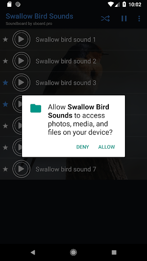Swallow bird sounds ~ Sboard.pro Screenshot 1