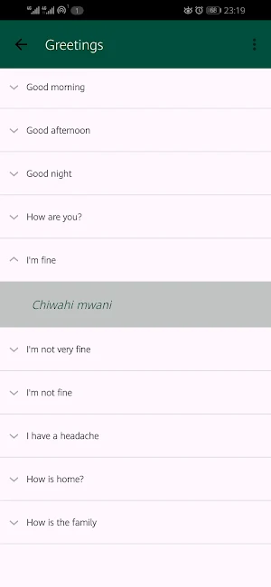 Common Lunda Phrases Screenshot 2