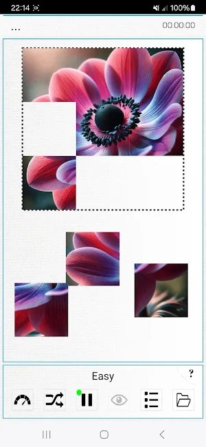 Pics Puzzles Pro Screenshot 0