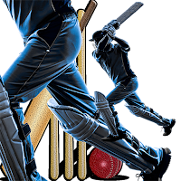 Cricket Worldcup Winner!