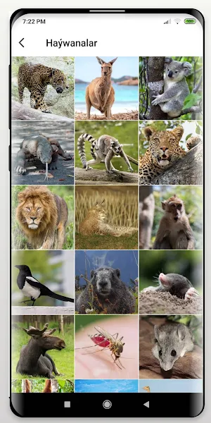 Haýwanat Bagy Screenshot 1