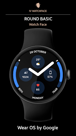 Round Basic Watch Face Screenshot 0