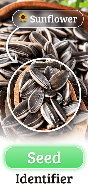 Seed Identifier: Seedorf Screenshot 0