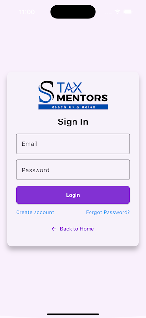 SS TAXMENTORS Screenshot 3