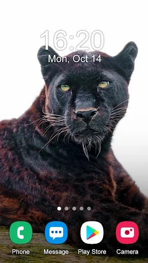 Black Panther Wallpaper 2024 Screenshot 2