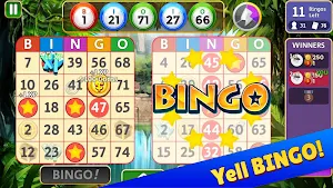Bingo Star Screenshot 1
