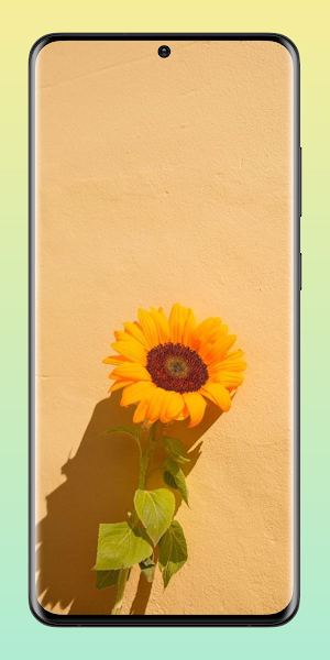 Sunflower Aesthetic Wallpaper Screenshot 3