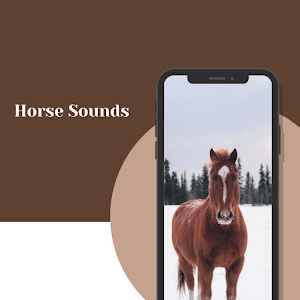 Horse Sounds - Horse Wallpaper Screenshot 2