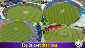Indian Cricket League 25 Screenshot 3