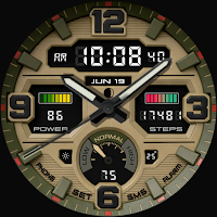 Tactical Force Watch Face