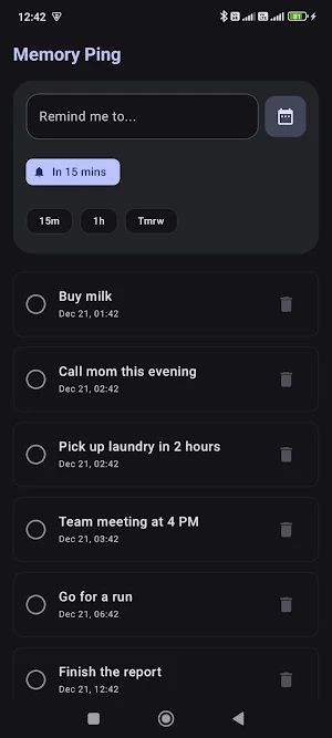 Memory Ping Screenshot 1