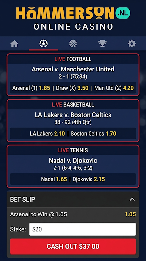 Hommerson Screenshot 2