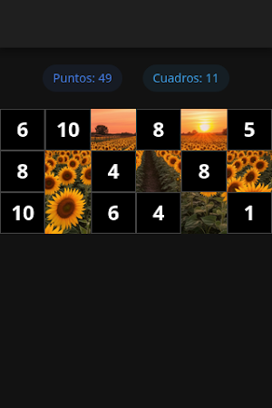 PuntosPerdidos Screenshot 1