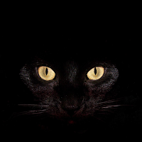 Night Lore