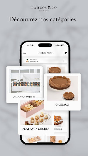 LAHLOU AND CO Screenshot 2