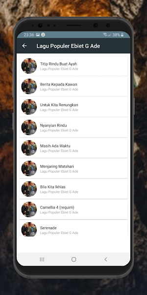 Lagu Ebiet G Ade MP3 Offline Full Album Terlengkap Screenshot 2
