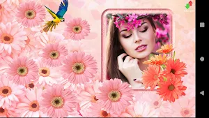 Romantic Photo Frames Screenshot 1