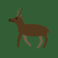 Hirschjagd