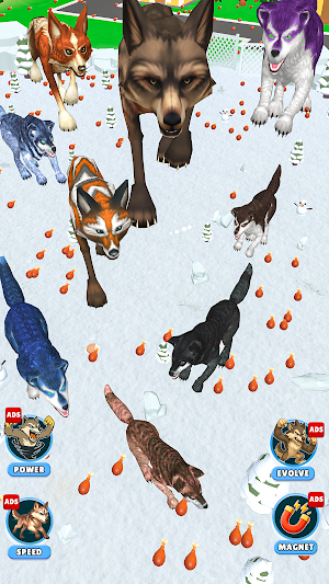 Rise Of Wolf- Wild Animal Game Screenshot 3