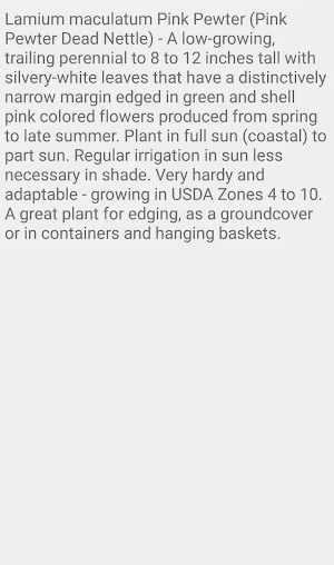 Lamium Pink Pewter Screenshot 2