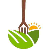 De la Mata a la Mesa