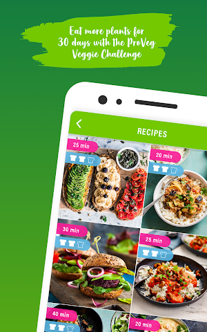 ProVeg Veggie Challenge Screenshot 0