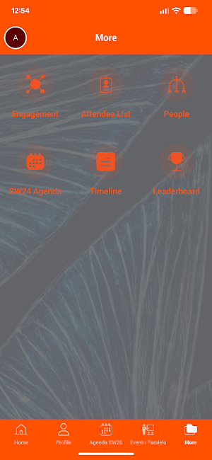 IDB Invest SW26 Screenshot 3
