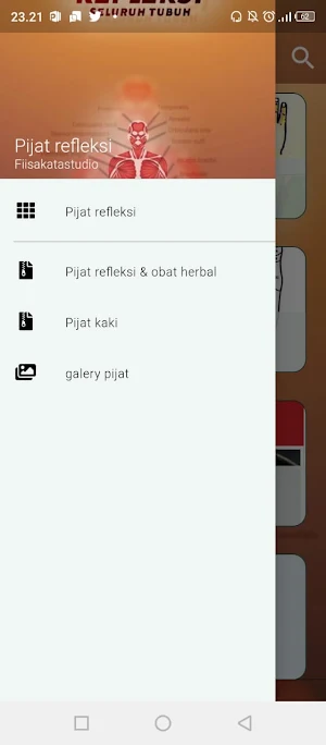 Panduan Pijat Refleksi Tubuh Screenshot 0
