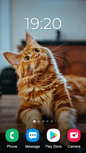 Cat Wallpaper 2023 Screenshot 2
