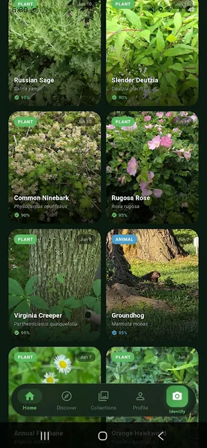 Spotter - Nature Identifier Screenshot 1