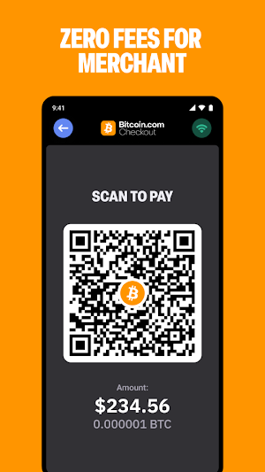 Bitcoin.com Checkout Screenshot 2