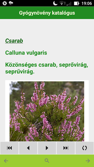 Gyógynövény katalógus - Herbárium Screenshot 2