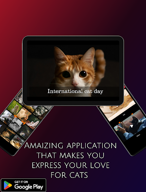 international cat day 2023 Screenshot 1