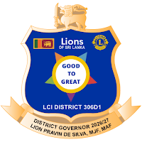 Lions D1 Connect