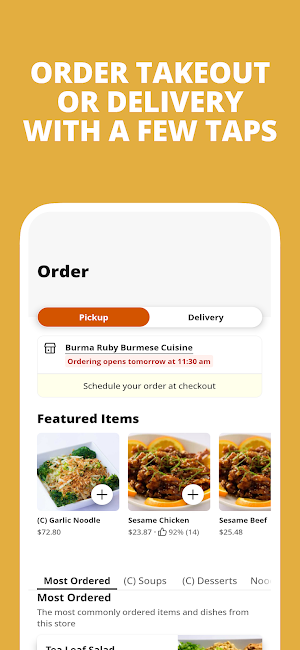 Burma Ruby Burmese Cuisine Screenshot 0