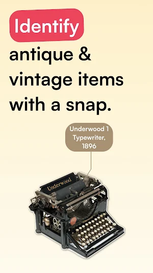 Antique Identifier Screenshot 0