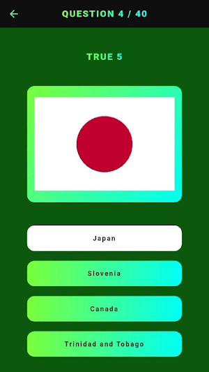 Flag Quiz Screenshot 3