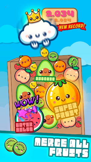 Fruit Drop - Watermelon Game Screenshot 0