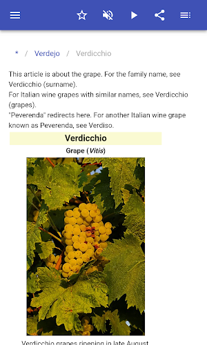 Grape varieties Screenshot 1