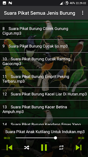 Suara Burung: Pikat & Masteran Screenshot 3